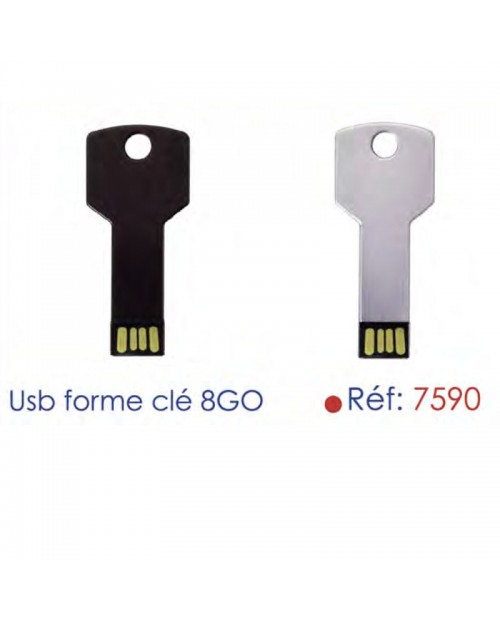 USB Cle 8 Go 