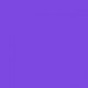 Articles de couleur Violette
